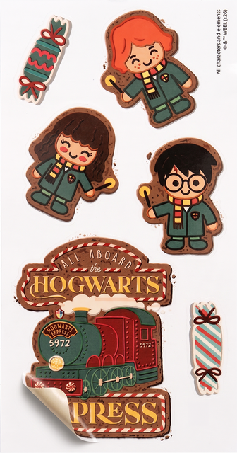 Calzini di Harry Potter in Scatola