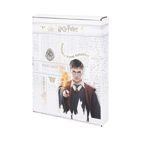 Libro di Harry Potter Set di 6 calze SOXO da donna