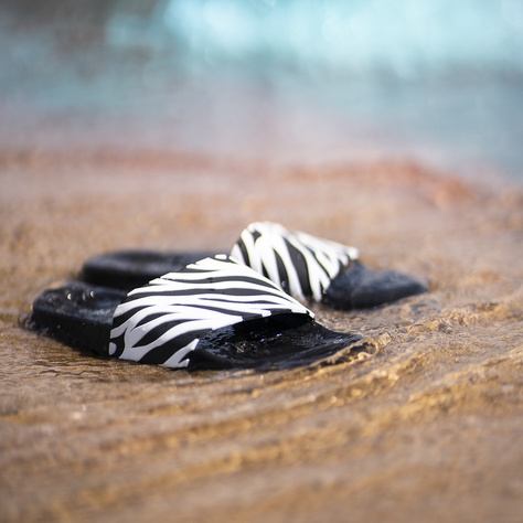 Premium Donna Uomo SOXO Zebra Beach Flip Flops | Ideale per vacanze estive e piscina | Gomma