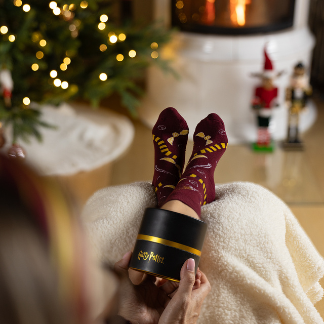 Calzini in tubo con motivo Harry Potter