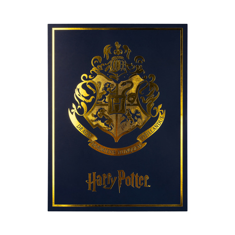 Libro di Harry Potter Set di 6 calze SOXO da donna