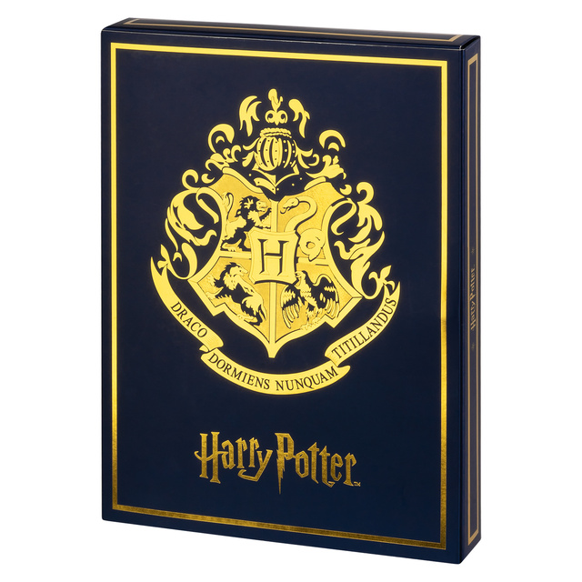 Calendario dell’Avvento con Calzini Harry Potter 6-Pack