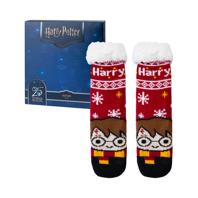 Calzini di Harry Potter