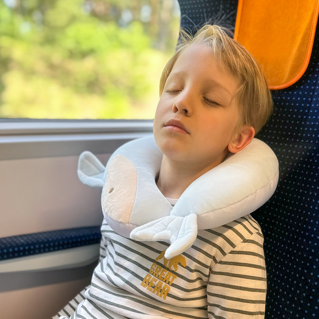 MOMO WAY Cuscino delfino multifunzionale