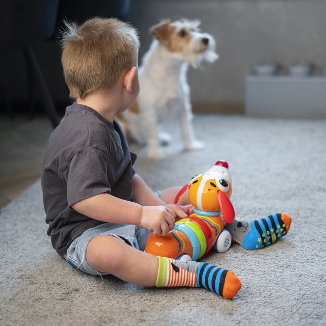 Set di 3 calzini colorati per bambini SOXO animali