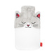 Gatto