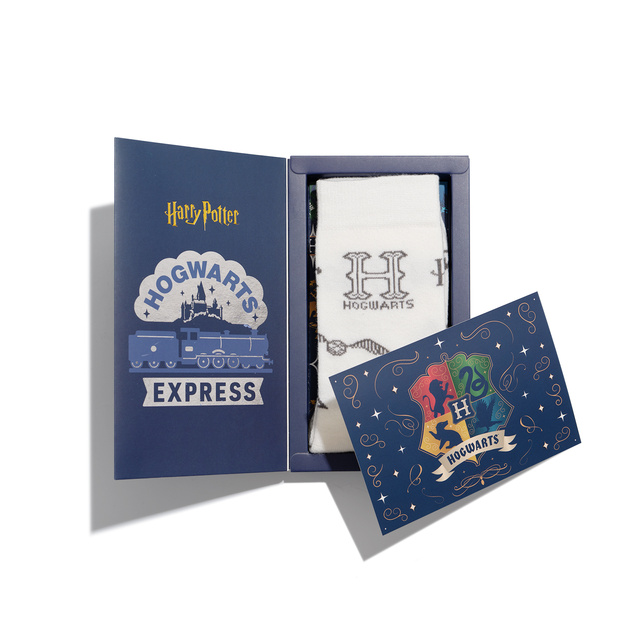 Calzini di Harry Potter in Scatola