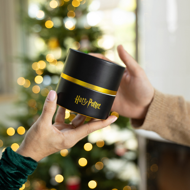 Calzini in tubo con motivo Harry Potter