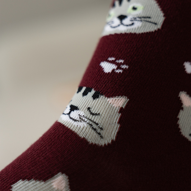 Calze da donna | SOXO da uomo | Gattino in scatola | Idea regalo divertente | Unisex