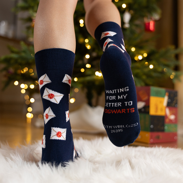 Gift Box di calzini Harry Potter 24-pack