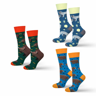 Calzini colorati da uomo SOXO Nature Poland - 3 paia