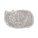 Gatto
