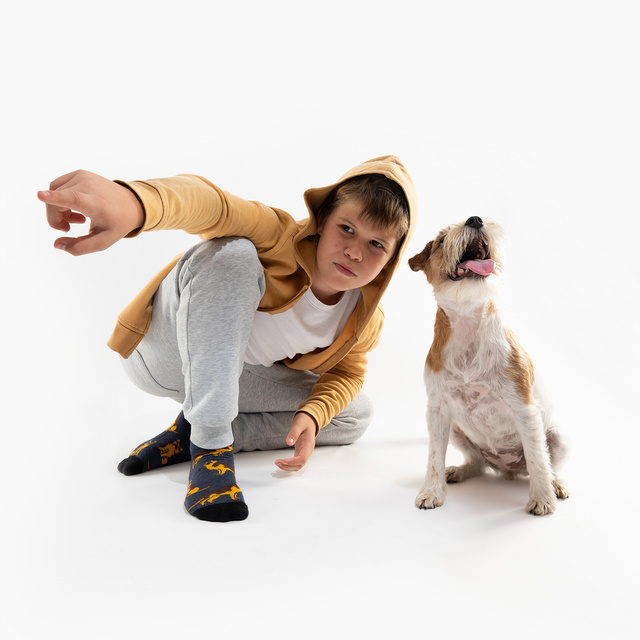 Calzini SOXO da uomo con pastore tedesco in lattina