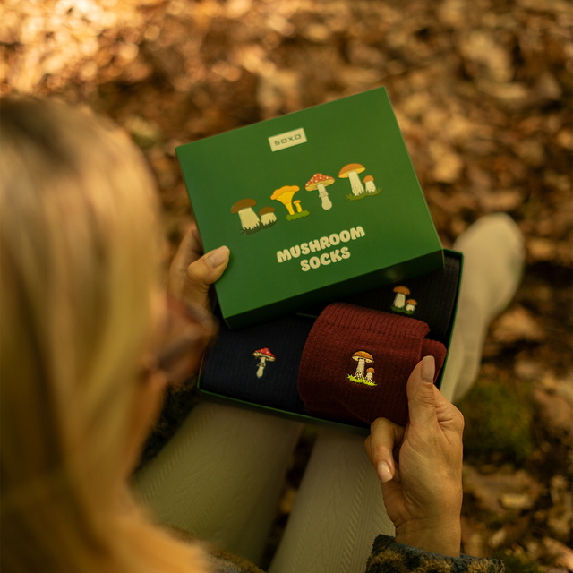 Set di 4x calze SOXO da donna in confezione da funghi edizione premium