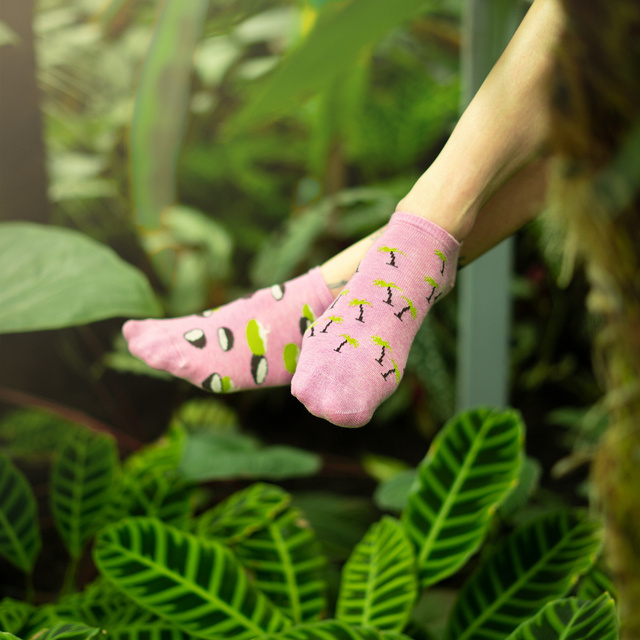 Set di 5 calzini da donna colorati SOXO