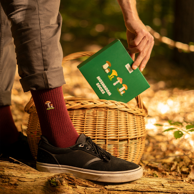 Set di 4 calzini a fungo da uomo SOXO in confezione da 4 pezzi