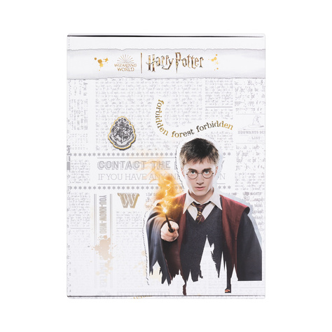 Libro di Harry Potter Set di 6 calze SOXO da donna