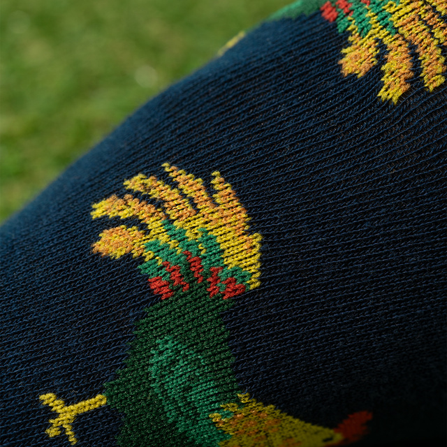 2x piedi colorati da uomo SOXO Pasqua per lui