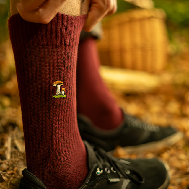 Set di 4 calzini a fungo da uomo SOXO in confezione da 4 pezzi