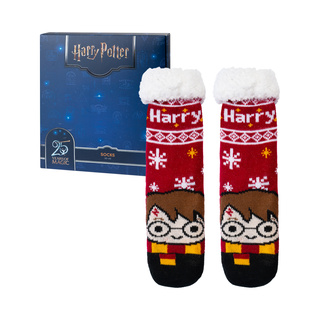 Calzini di Harry Potter
