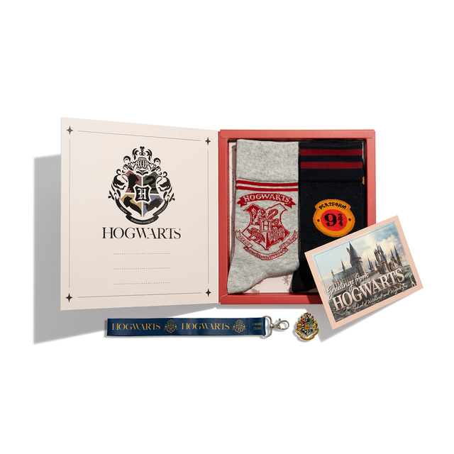 Calzini di Harry Potter 2 Paia