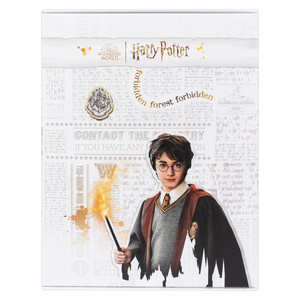 Vestaglia per bambini Harry Potter Warner Bros